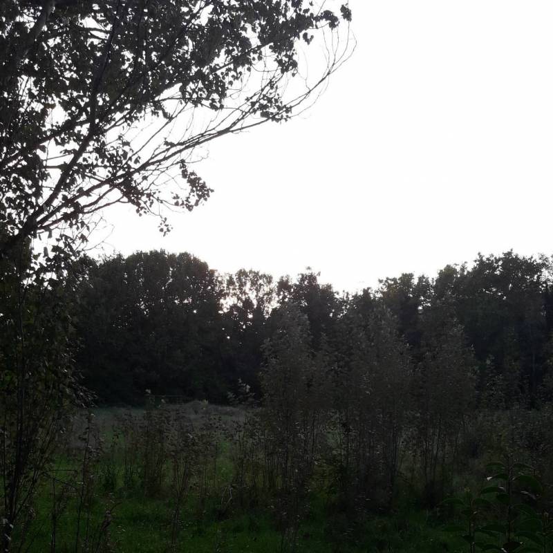 Fotosegnalazione di Roma monte sacro