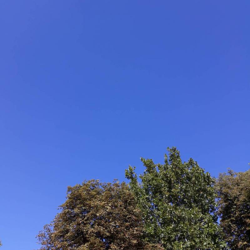 Cielo blu e fresco