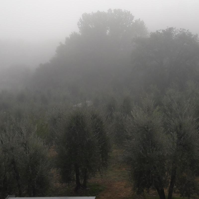 5 settembre...nebbia nei campi