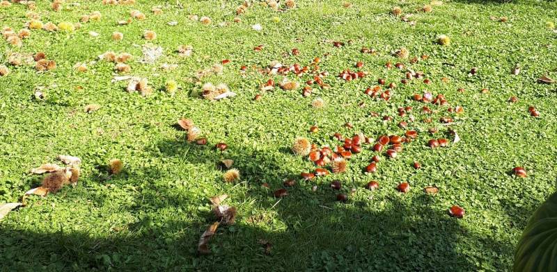 Velletri in autunno