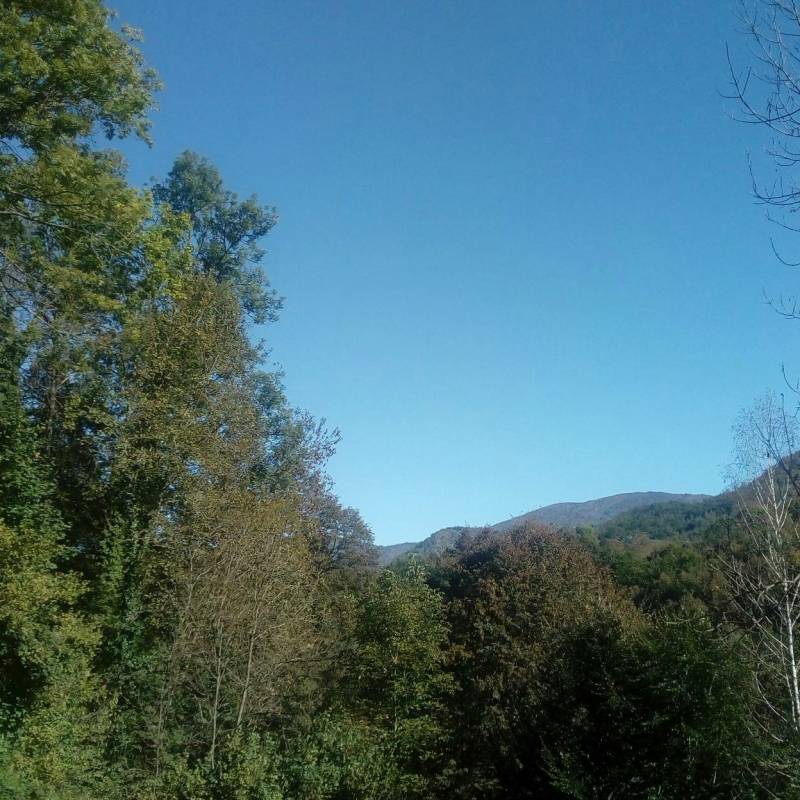 Le belle giornate di inizio ottobreii