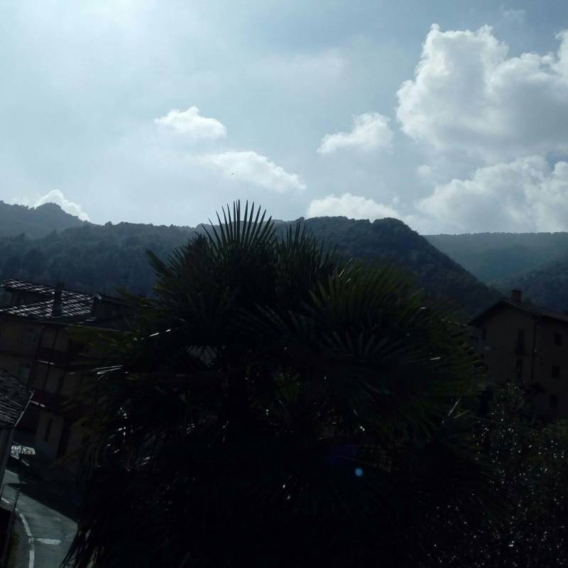 Fotosegnalazione di Viu'