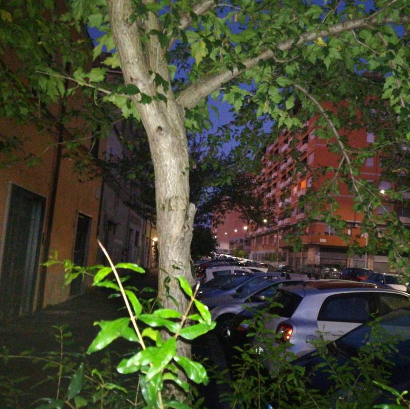 Fotosegnalazione di Roma prenestino