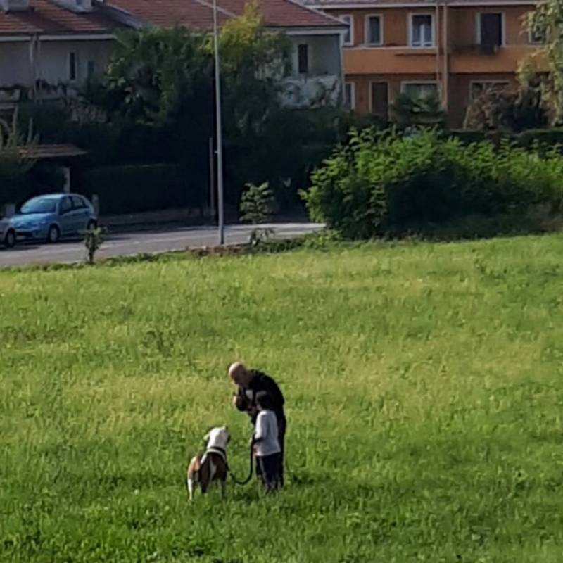 Passeggiata col cane