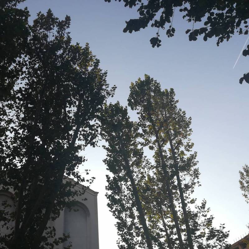 Fotosegnalazione di Roma prenestino