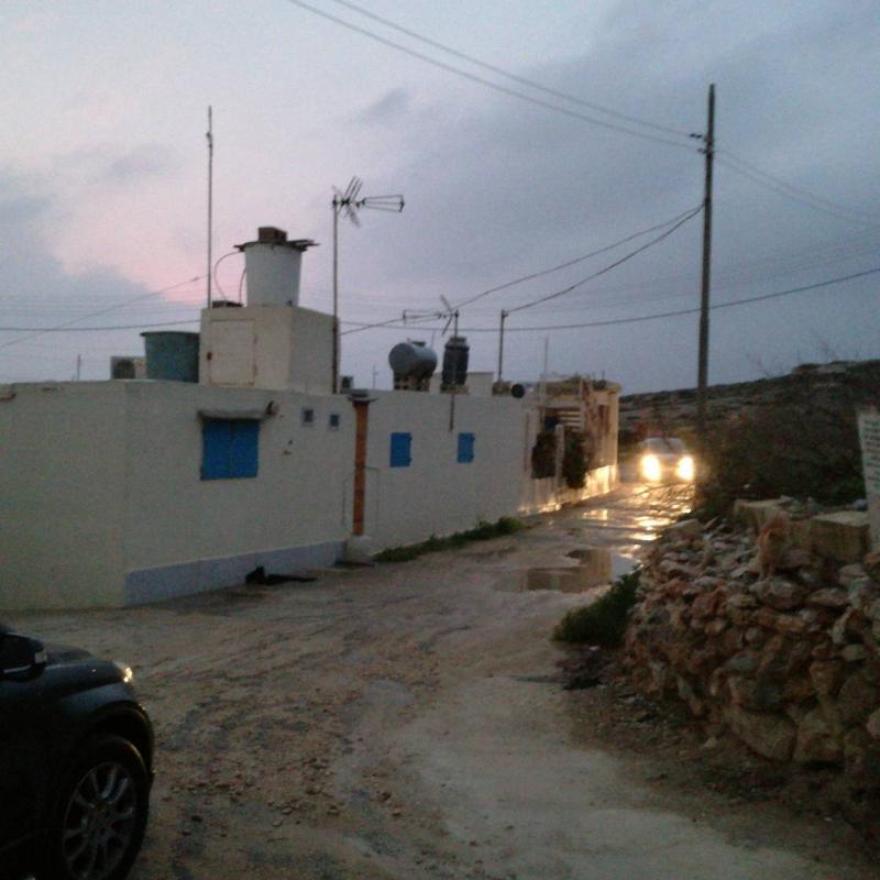Fotosegnalazione di Melliea