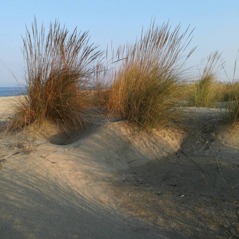 Punta marina terme le dune