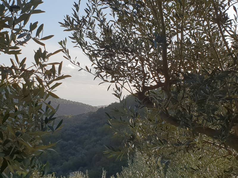 La calma dopo la tempesta