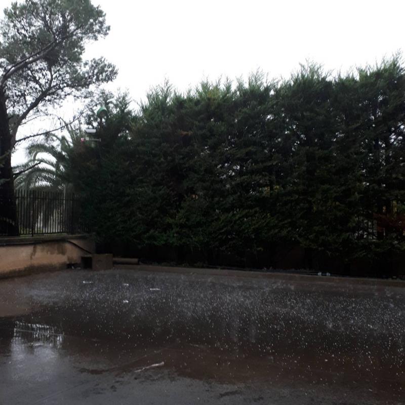 Fotosegnalazione di Canicatti'