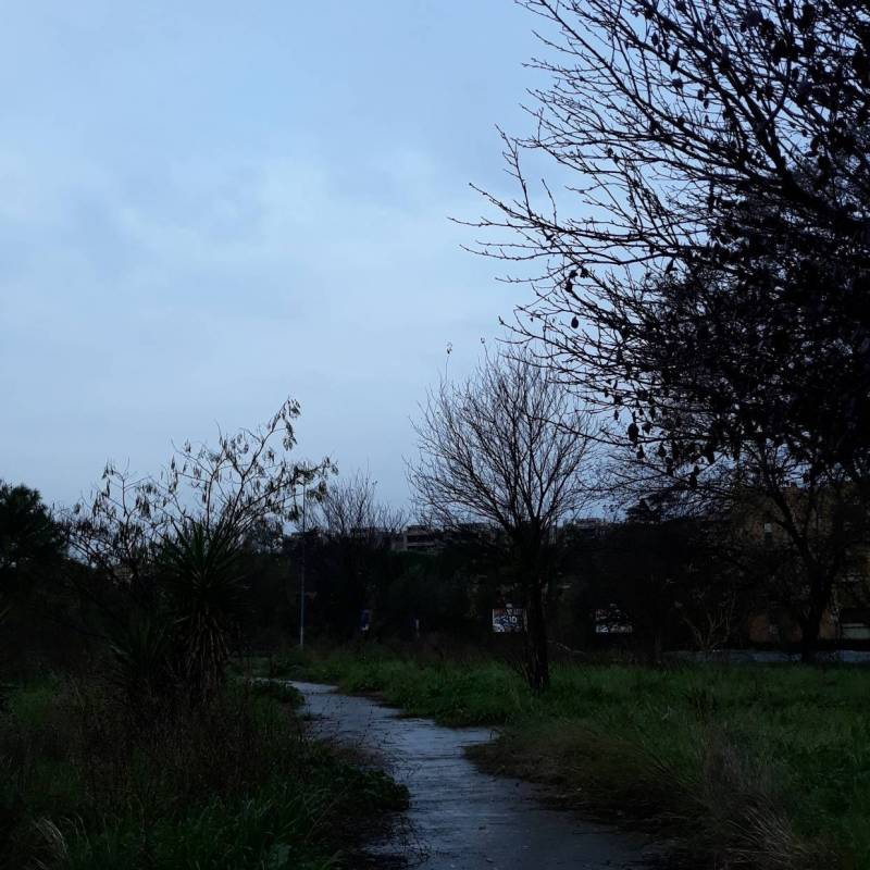 Fotosegnalazione di Roma monte sacro