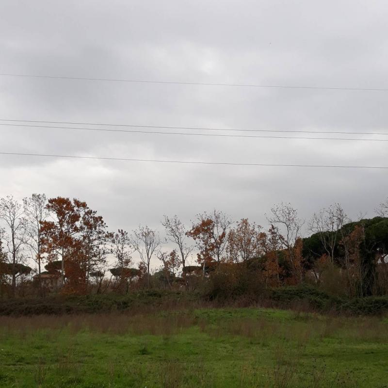 Fotosegnalazione di Roma monte sacro