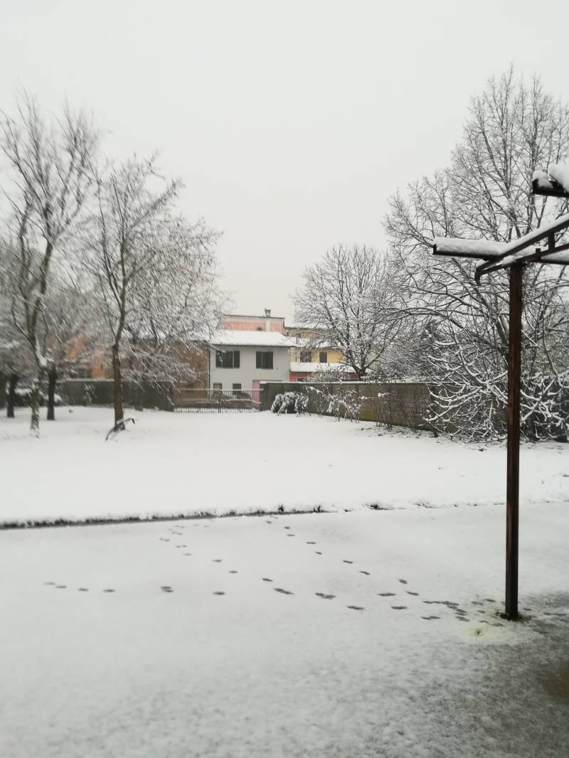 Prima neve a 16 dicembre 2018