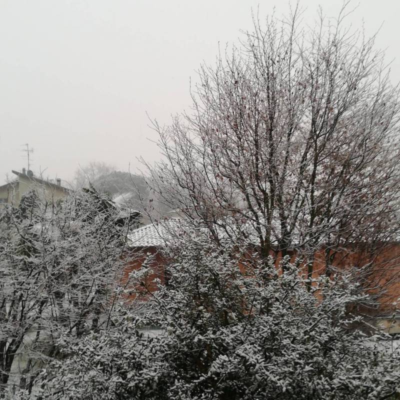 1'neve d autunno