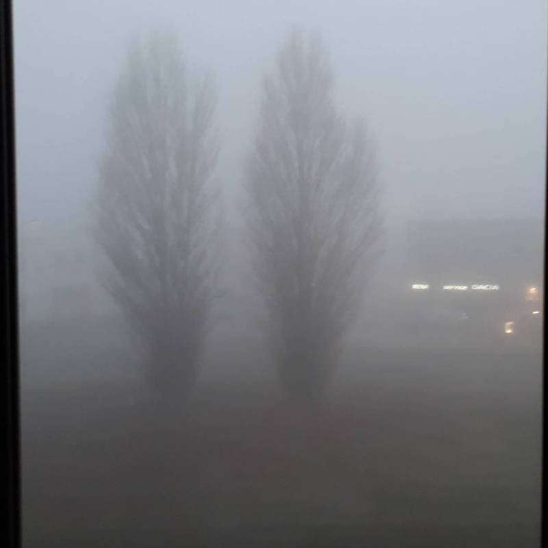 Nebbia in valpadana