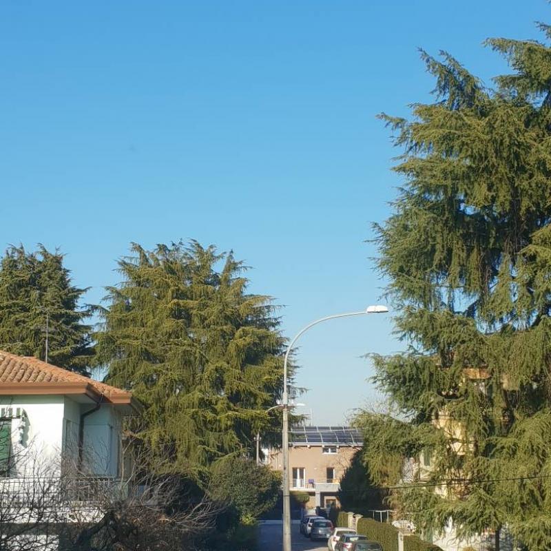 Fotosegnalazione di Mogliano veneto
