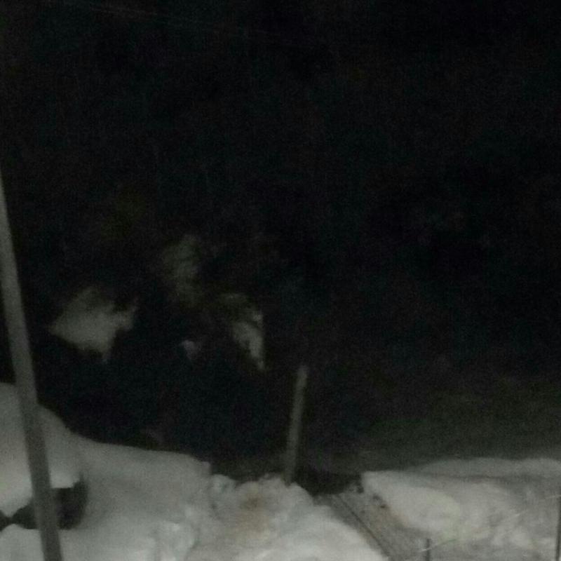 Fotosegnalazione di Macchiagodena