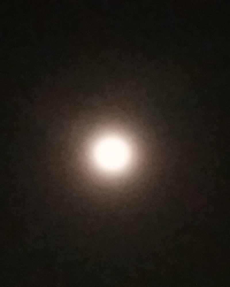 Nebbia di luna
