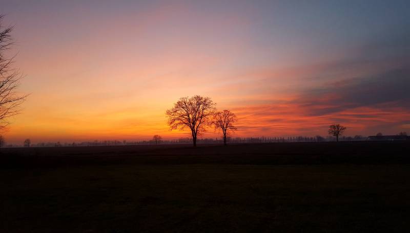 Campo al tramonto mv