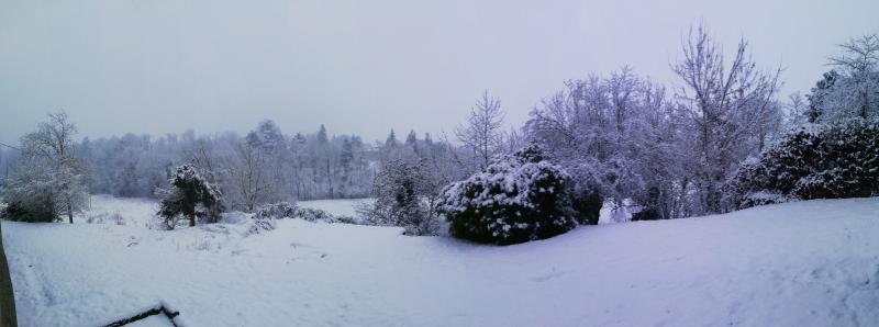 Panoramica della neve