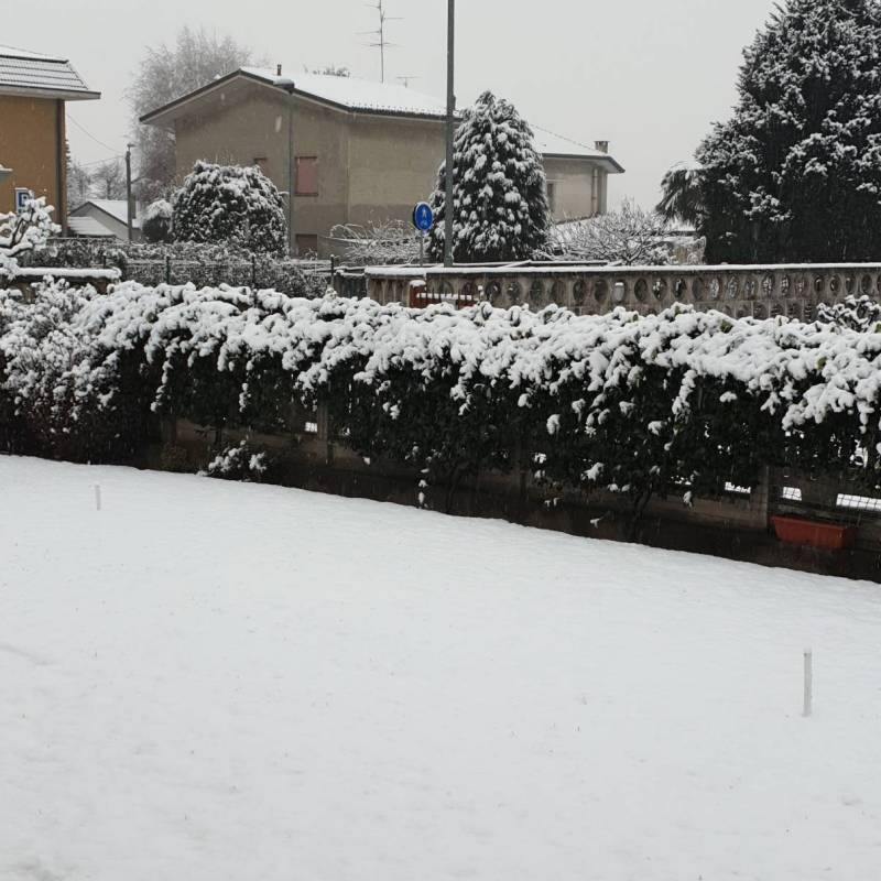 Neve a Lazzate