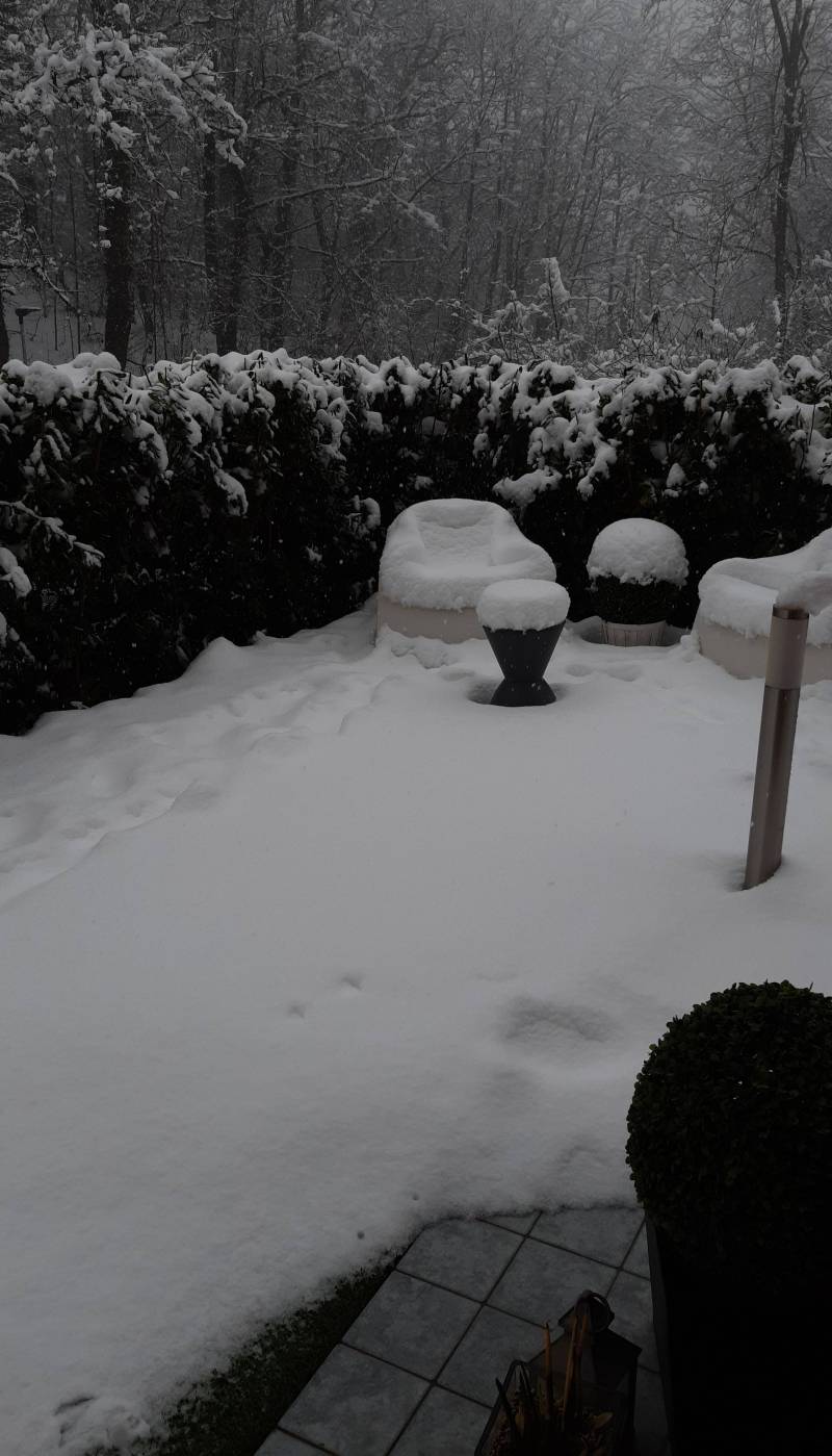 Nevicata 1 febbraio