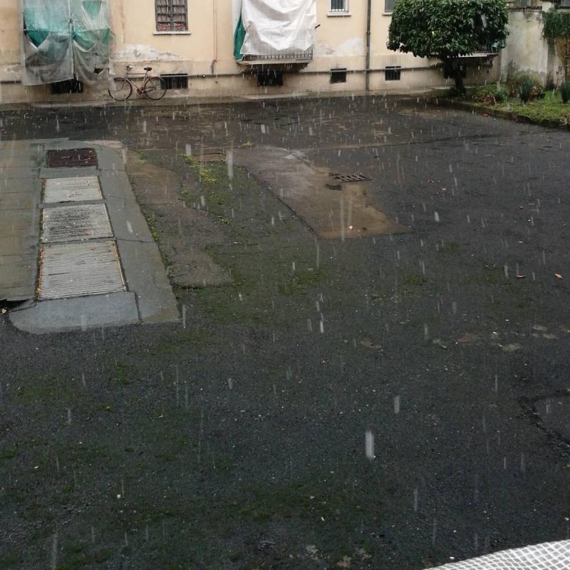 Fotosegnalazione di Torino