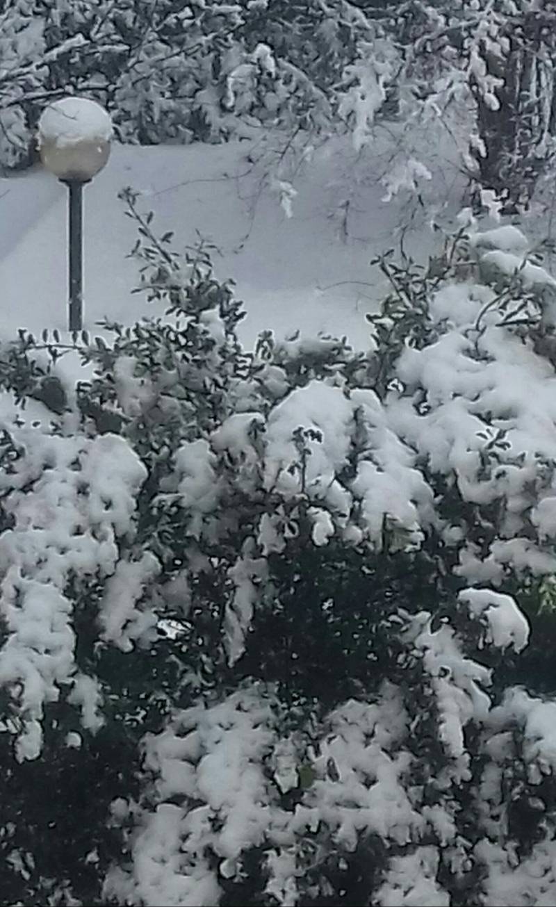 Neve sul giardino