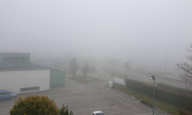 Oggi nebbia