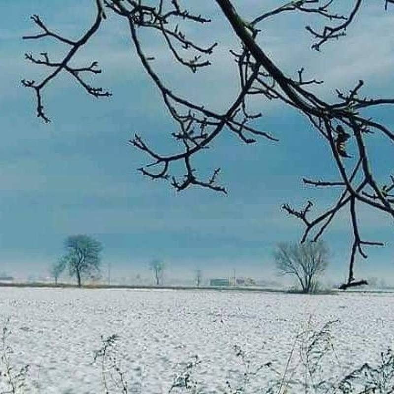 Neve nei campi