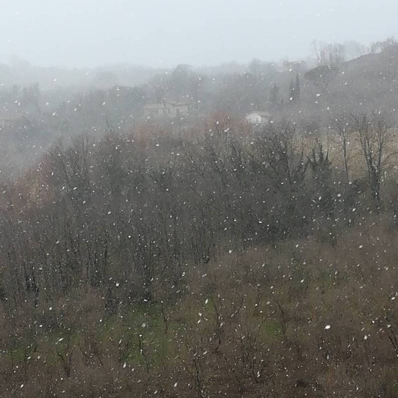 Bufere di neve e schiarite prata 23 febbraio 2019