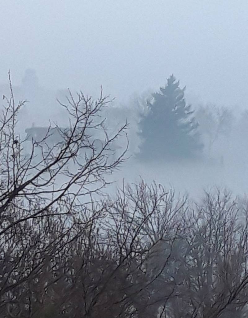 Nebbia di marzo