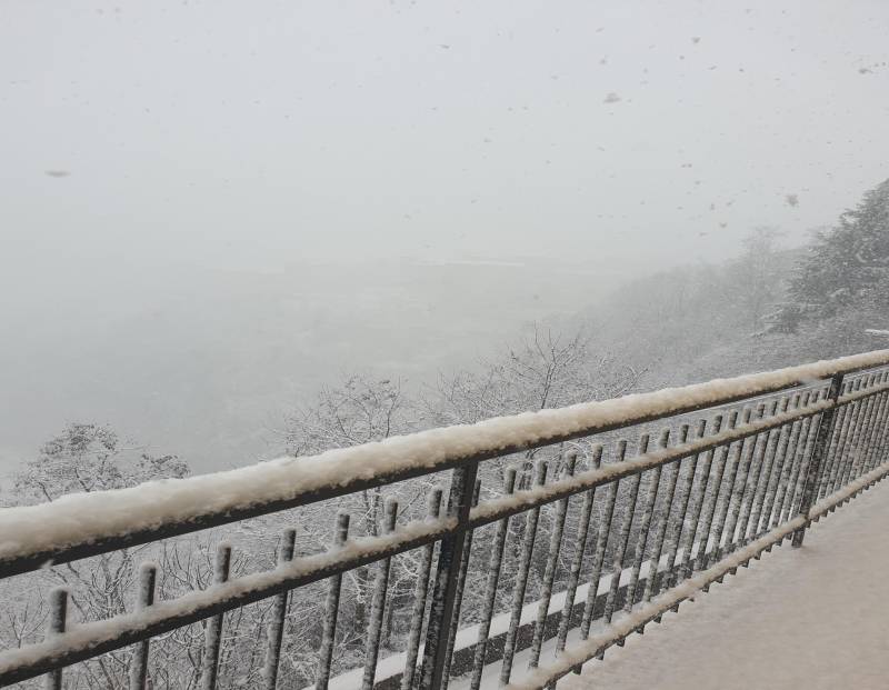 Nevicata del 12 marzo by g.congi