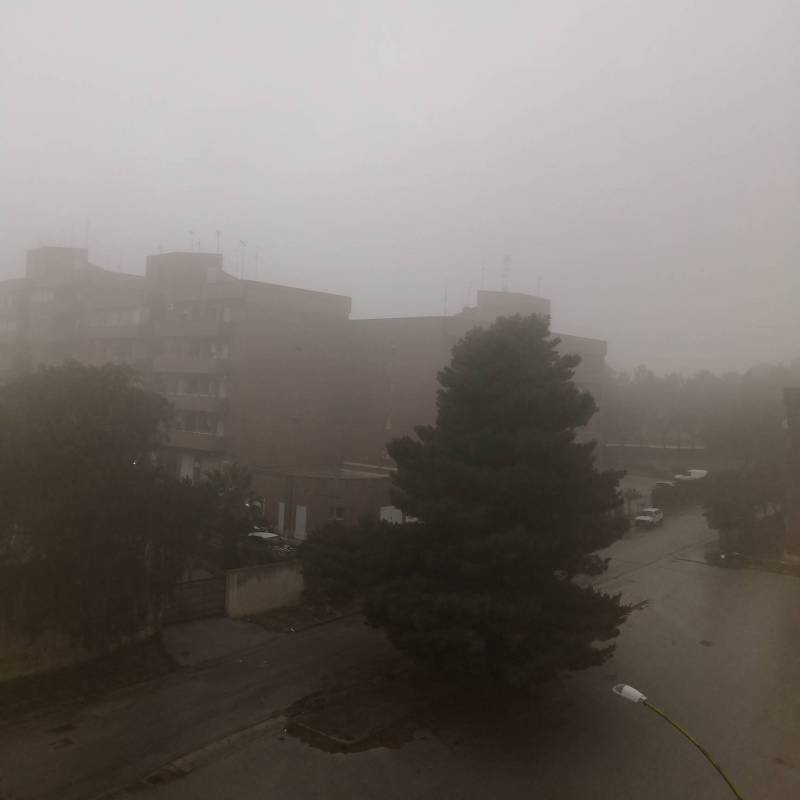 Nebbia e pioggia