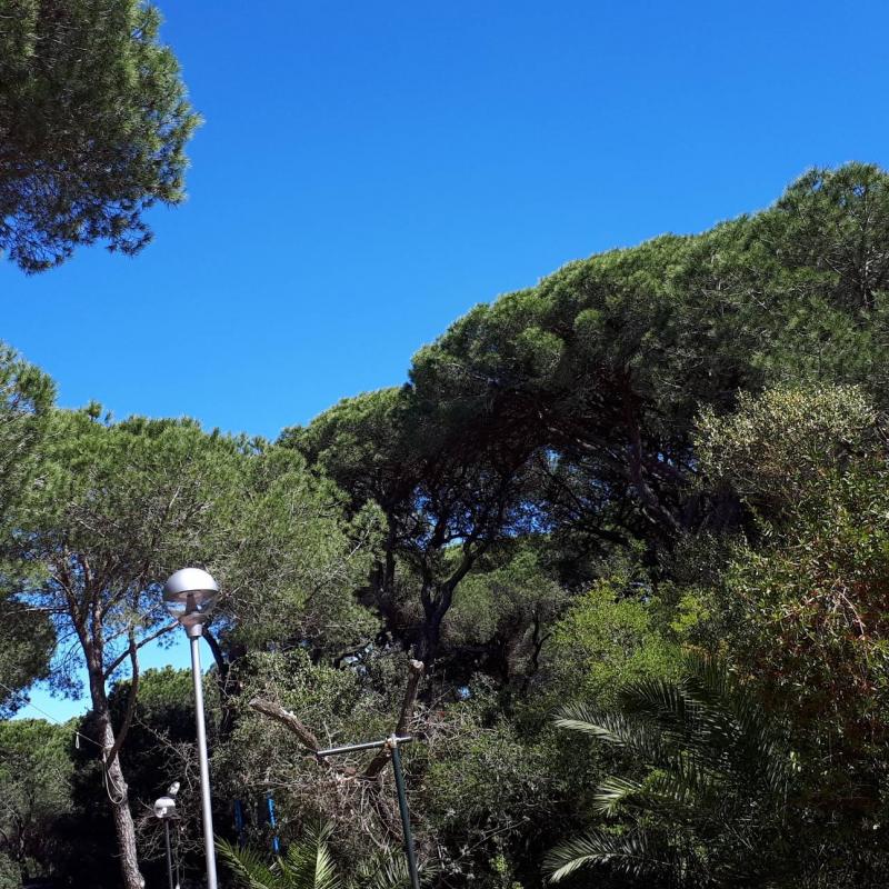 Marina di grosseto campeggio il sole cielo sereno