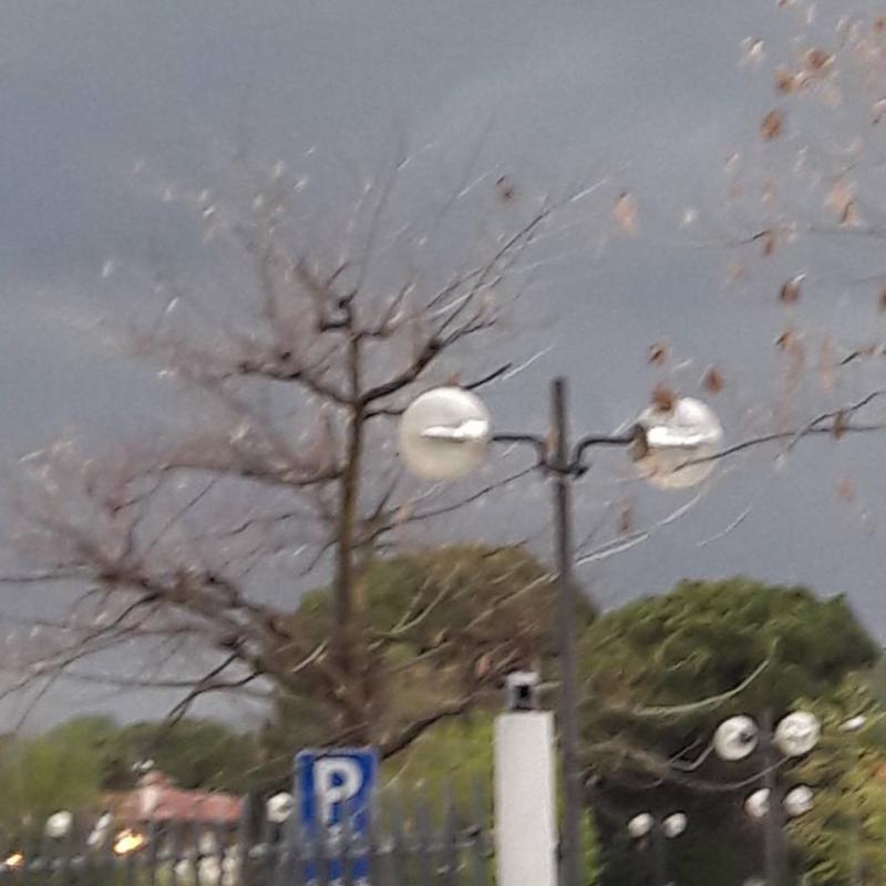 Fotosegnalazione di Montebelluna