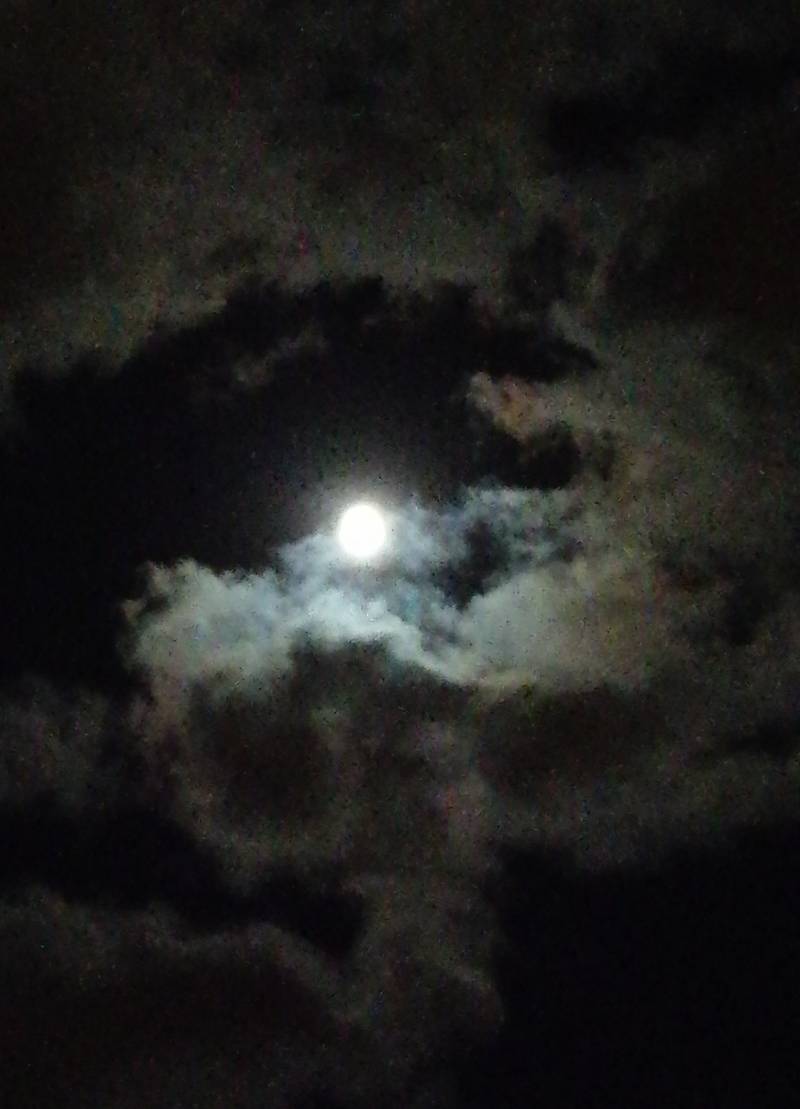 2352 il cielo la luna le nuvole.. auguro buonanotte