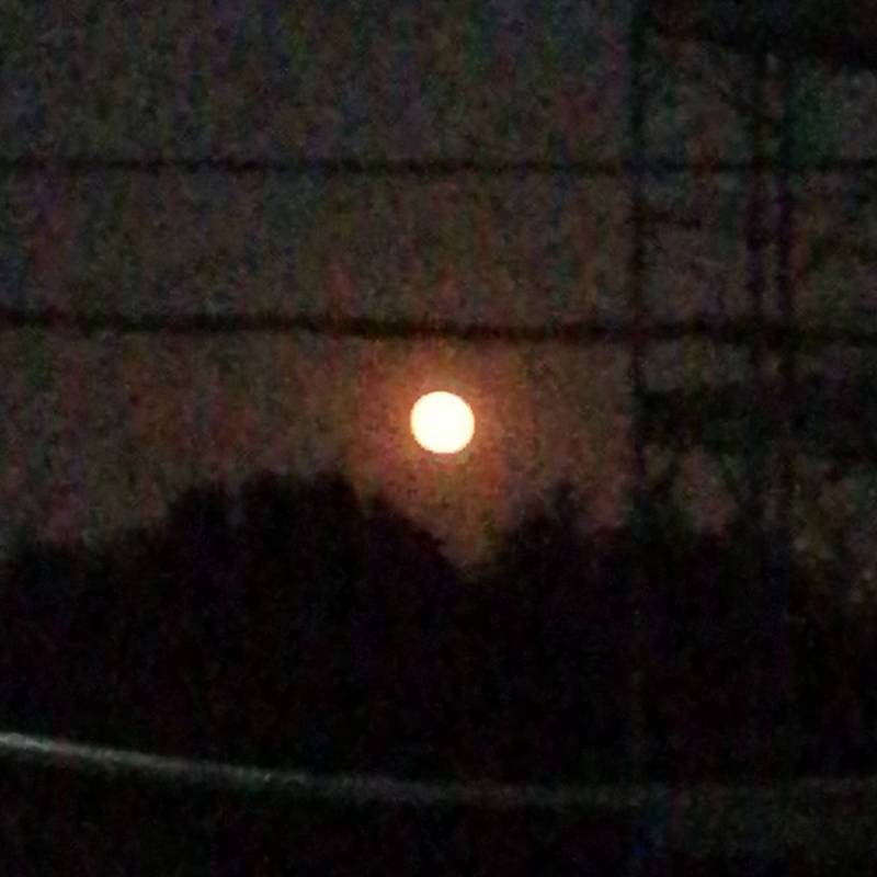 Luna piena rossa