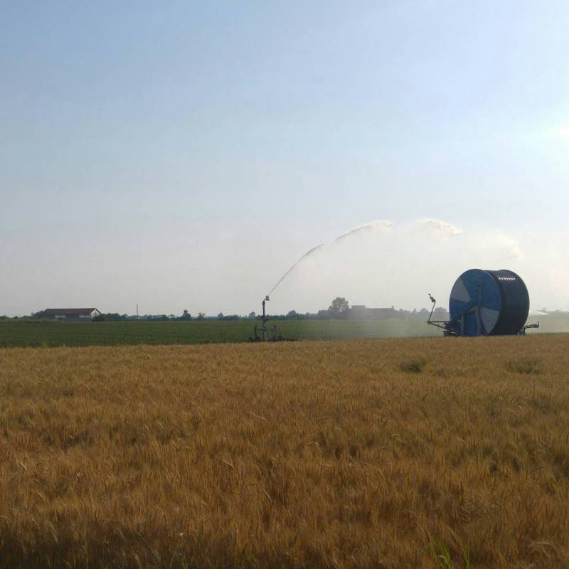 Isolabella campi irrigati.