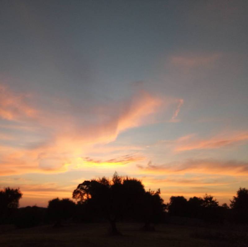 Fotosegnalazione di Cisternino