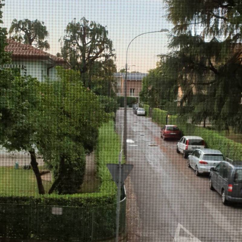 Fotosegnalazione di Mogliano veneto