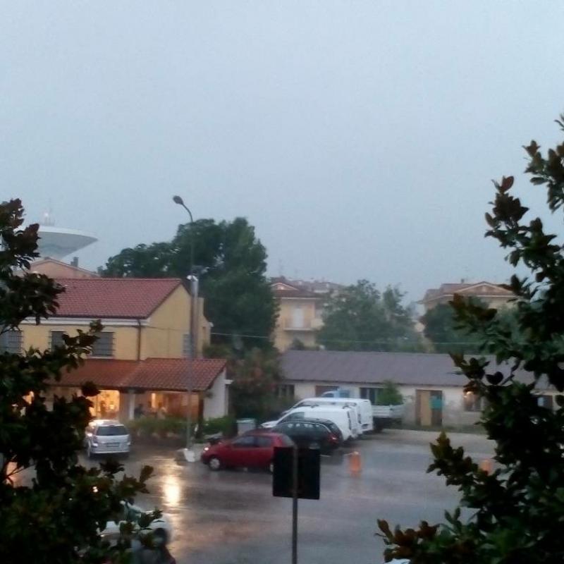 Fotosegnalazione di Bellaria igea marina