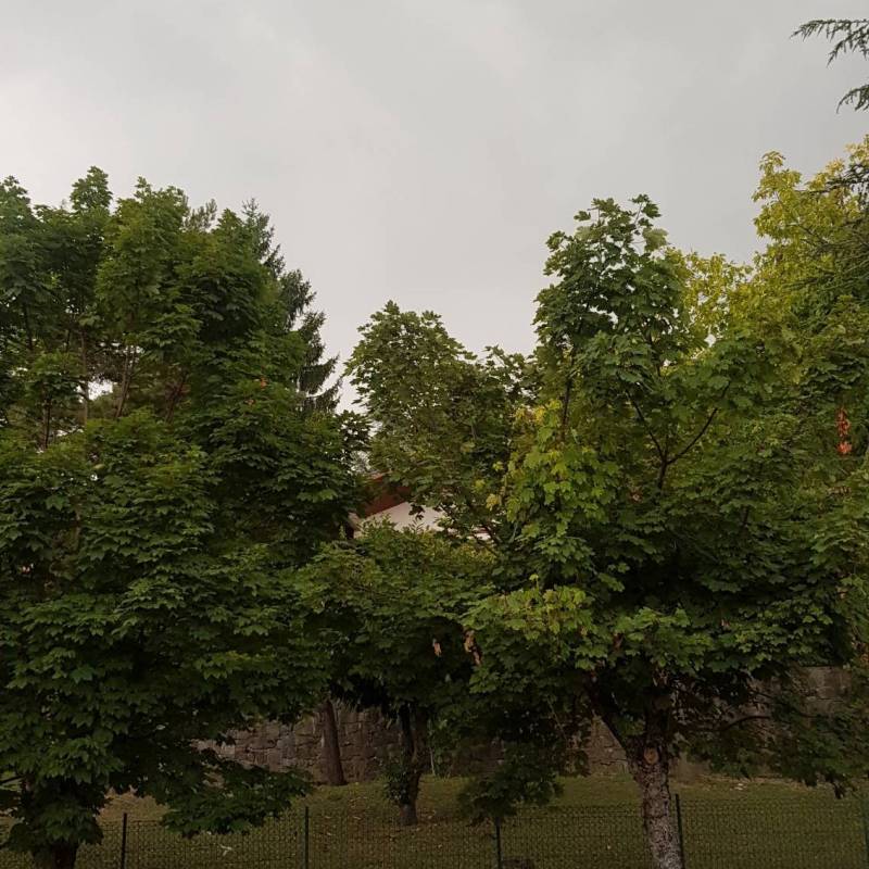 Fotosegnalazione di Serramazzoni