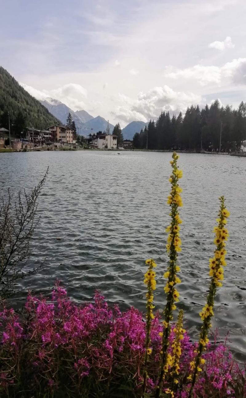 Laghetto madonna di campiglio