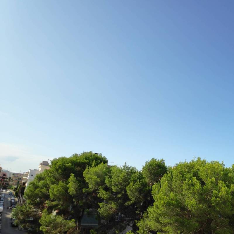 Fotosegnalazione di S'arenal