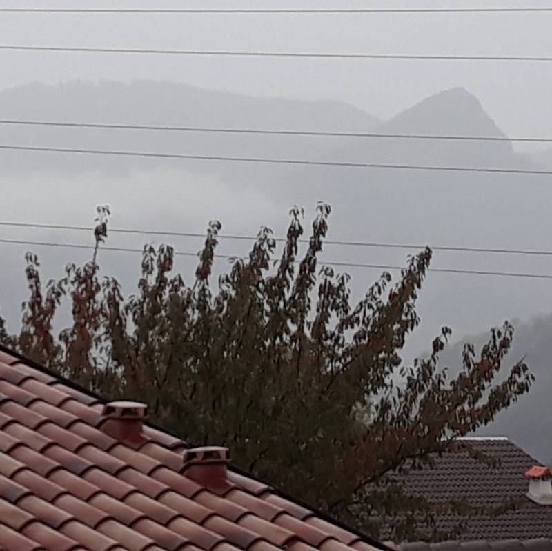 Fotosegnalazione di Casnigo