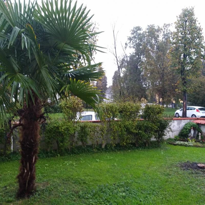 Fotosegnalazione di Gussola
