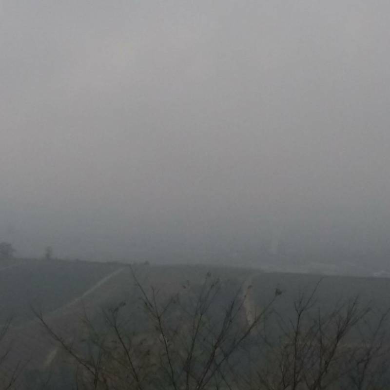 Fotosegnalazione di Treville
