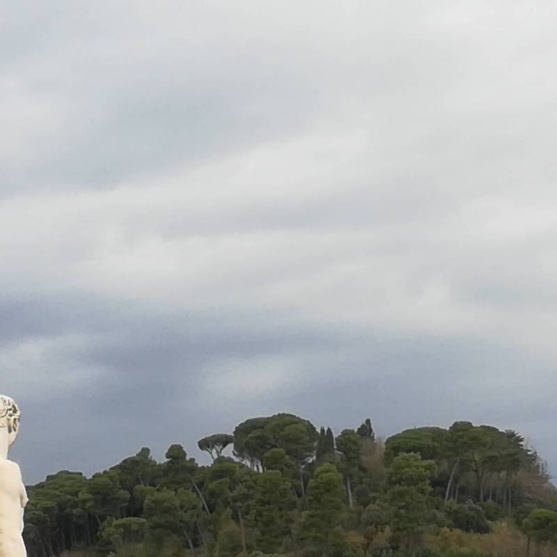 Fotosegnalazione di Roma tor di quinto