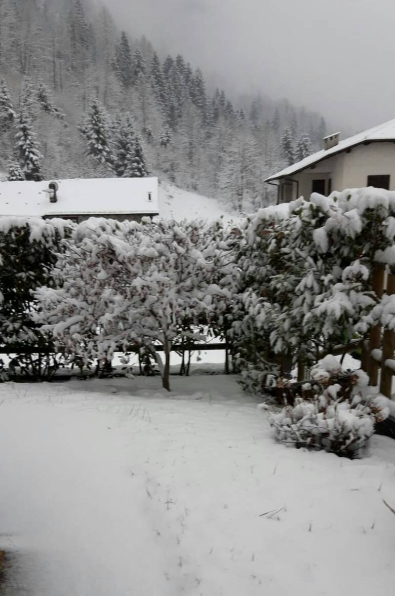 Trabuchello giovedi' 12 dicembre il mio giardino incantato