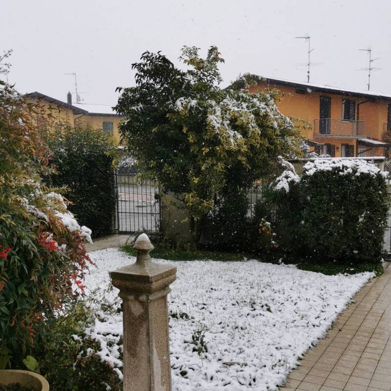 Neve ad Ostiano